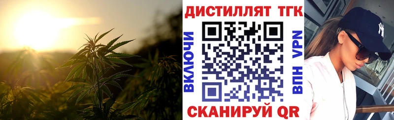 Дистиллят ТГК Wax Шагонар