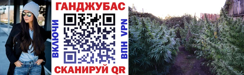 Марихуана планчик  продажа наркотиков  Шагонар 